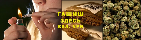 индика Алзамай