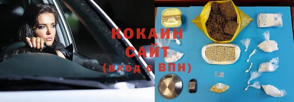 индика Алзамай