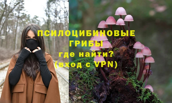 индика Алексеевка